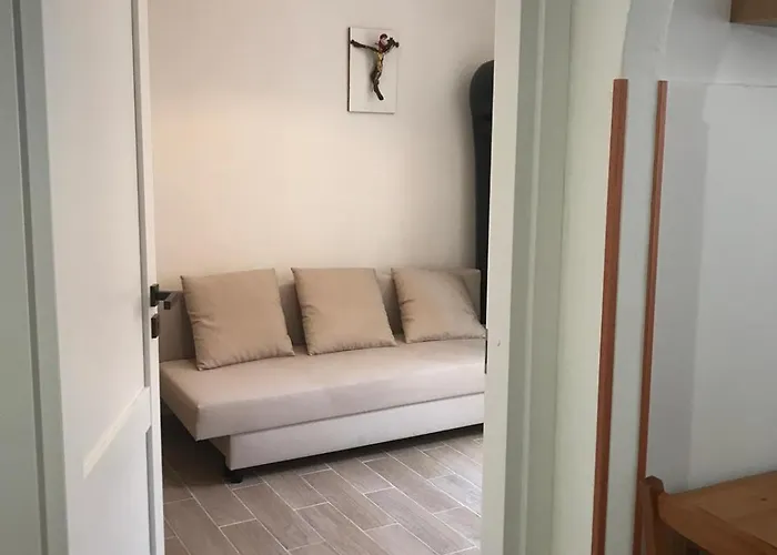 Vinny House *